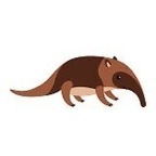 anteaterwannabe avatar