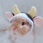 bunyams avatar
