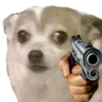 memes4free avatar